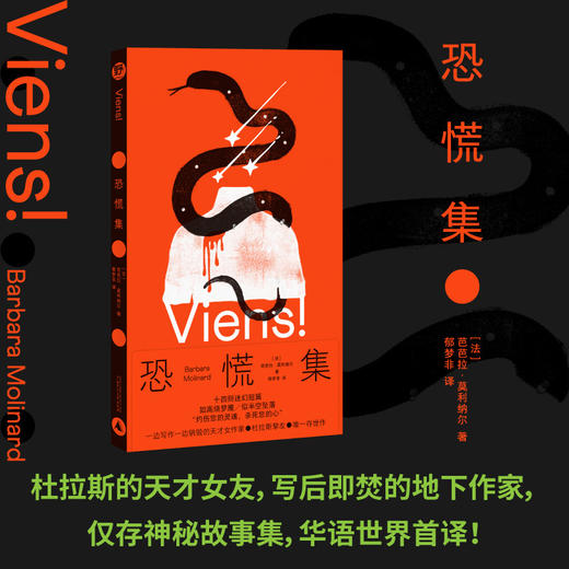 恐慌集（杜拉斯的天才女友，写后即焚的地下作家，仅存神秘奇书，华语世界首译！卡夫卡、普拉斯、卡林顿读者不可错过的神秘/神经故事集） 商品图0