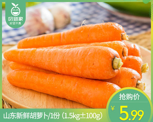 山东新鲜胡萝卜/1份（1.5kg±100g） 商品图0