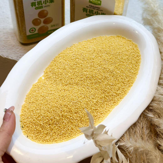 黛西农场｜有机杂粮&干货组合，有机杂粮+有机干货，中国国家地理标志产品，有机认证‼️ 商品图4