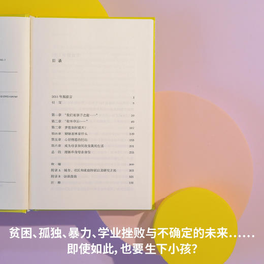 成为母亲的承诺：为什么她们更想要孩子而非婚姻？（基层女性为何选择“去父留子”？倾听162位贫困母亲的真实声音，可能与你想的不同） 商品图1
