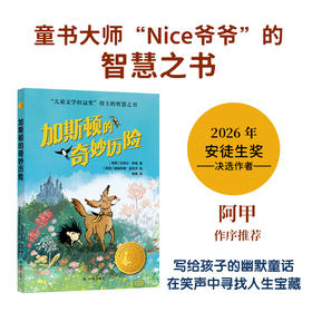 小译林国际大奖童书四本套装