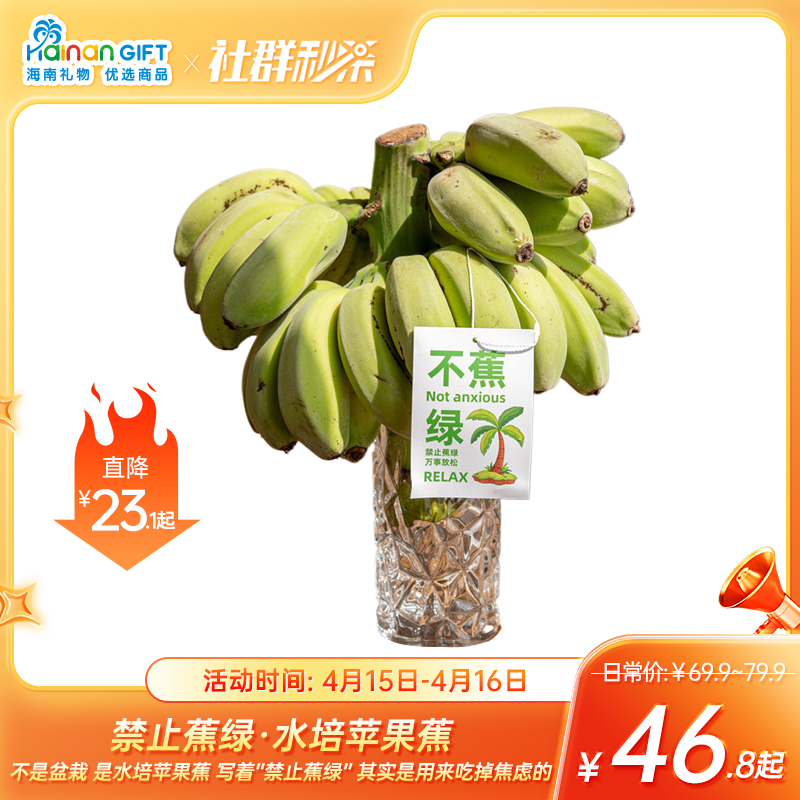 【限时秒杀4月15日-16日】送给总说“好焦虑”的朋友！禁止蕉绿水培套装💧宝，【禁止蕉绿·‍水培苹果蕉】用魔法打败魔法！⁮用“‪蕉绿”⁪打败焦虑！