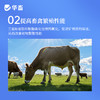 华畜 母子康肥 促进生长 提高饲料利用率 改善繁殖性能 商品缩略图4