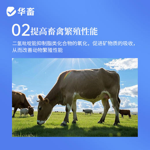 华畜 母子康肥 促进生长 提高饲料利用率 改善繁殖性能 商品图4