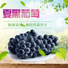 第十一年订单式种植【云南夏黑葡萄】无籽或少籽，不打膨大剂，多挂树20天采摘，风味十足（72小时内发货） 商品缩略图12