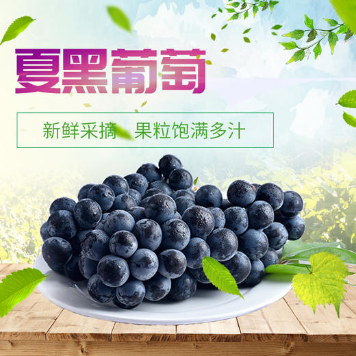 第十一年订单式种植【云南夏黑葡萄】无籽或少籽，不打膨大剂，多挂树20天采摘，风味十足（72小时内发货） 商品图12