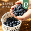 【花果香蓝莓 特别福利】口感酸甜 满满花青素 颗颗饱满新鲜 自带果霜 ~ 商品缩略图0