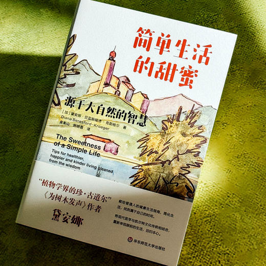 简单生活的甜蜜 源于大自然的智慧 植物学界的珍·古道尔 献给普通人的健康生活指南 商品图4
