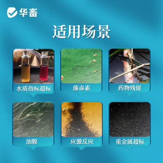 【社群专享】华畜解毒碧水安 有机酸 不刺激 快速打破油膜 商品图1