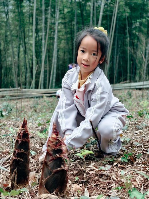 4.18已成团！彭州老鹰岩摘樱桃、挖笋、藤蔓秋千、木梯攀爬、绳索攀登、石板滩速降～ 商品图4