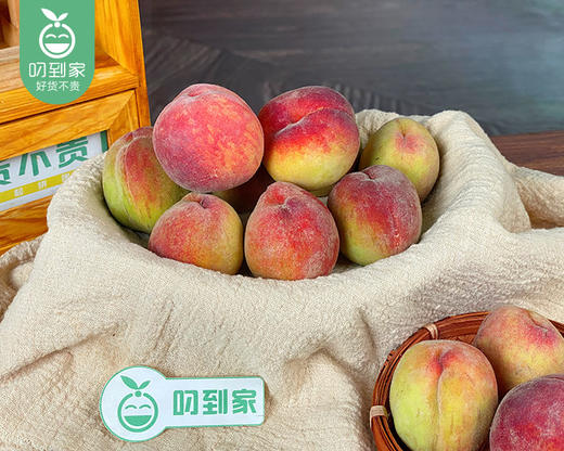 漳州脆毛桃-摇桃（750g±50g/盒 赠酸梅粉） 商品图3