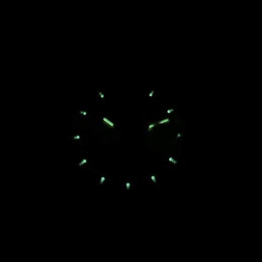 【95新】TUDOR 帝舵76213-0016自动机械机芯日期、星期显示 36MM（男款）王子与公主系列精钢/18K黄金070426NJS13 商品图8