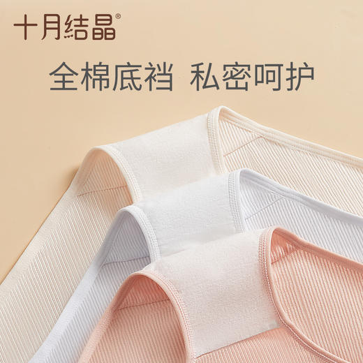 孕妇内裤高腰孕中期孕晚期女内裤纯棉底裆可调节四季 商品图5