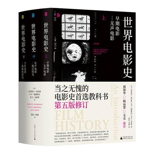 世界电影史（第五版）全球三十年畅销的电影史经典 当之无愧的首选电影教科书 戴锦华 杨远婴 毛尖 推荐 商品图0