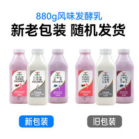 和润0脂肪蓝莓味880g 低温酸奶酸牛奶风味发酵乳酸奶碗佐餐解腻 代餐