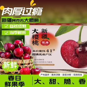 新疆阿克苏大樱桃 应季水果 新疆樱桃