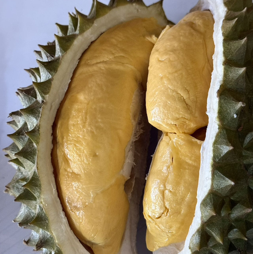 【泰国猫山王榴莲】泰国顶级品种托曼尼榴莲/果肉细腻口感极甜 香味浓/精选一级果发货