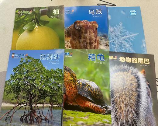 【超划算】小聪仔科普版2025年7-12月半年珍藏+加送精选幼儿过刊2本  2-8岁儿童 商品图1