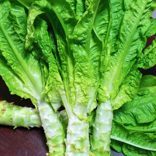 【下单后48小时发货】河北张家口 生态有机蔬菜包5斤装左右/箱，球生菜、绿甘蓝、娃娃菜、莴笋，也可每种单选 商品图9