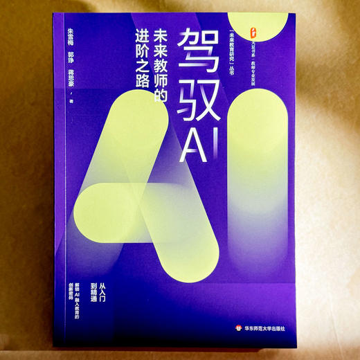 驾驭AI 未来教师的进阶之路 大夏书系 教师专业发展 商品图1