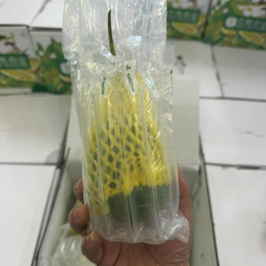 贝壳农业 青花蜜 5-6头 净果3.6-3.8斤 34.9/件 商品图2