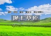 坝上草原｜摄影、骑马、篝火、烤全羊、卡拉OK 越野车 商品缩略图0