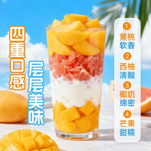 含羞草固体杨枝甘露85g 商品图2