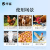 华畜 母子康肥 促进生长 提高饲料利用率 改善繁殖性能 商品缩略图7
