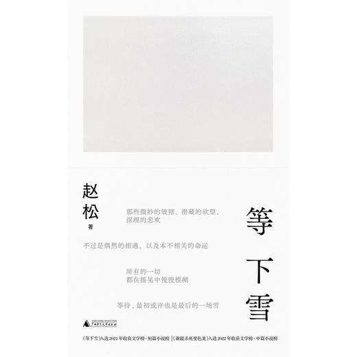 等下雪（赵松全新小说集，收录“收获文学榜”获奖作品。在一片空茫中，等待一场也许永远不会到来的雪） 商品图1