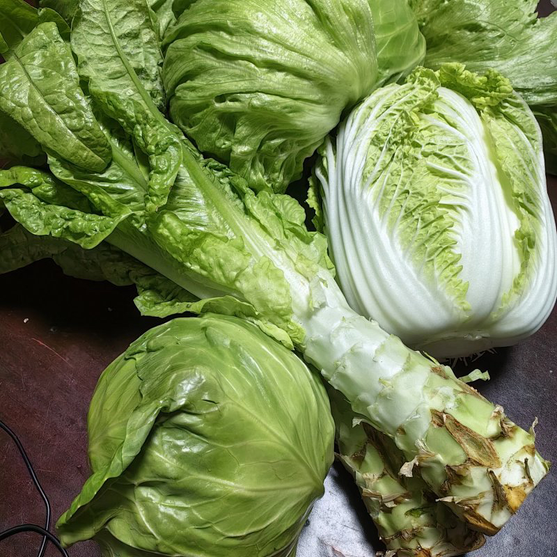 【下单后48小时发货】河北张家口 生态有机蔬菜包5斤装左右/箱，球生菜、绿甘蓝、娃娃菜、莴笋，也可每种单选