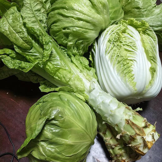 【下单后48小时发货】河北张家口 生态有机蔬菜包5斤装左右/箱，球生菜、绿甘蓝、娃娃菜、莴笋，也可每种单选 商品图0