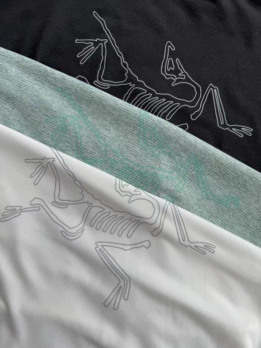 点此购买 始祖鸟夏季男士清爽娄空CORMAC CREW阳离子速干短袖T恤 ggd 345083 商品图12