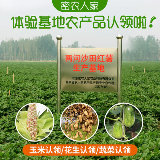 2026年花生 玉米 蔬菜认领开始啦    自有基地   亲子农耕体验活动 详询客服 商品图0