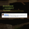我是幸存者吗？（一位普通女性的创伤自救：如果生命是一场巨大PTSD，愿本书成为你深夜里的温柔回响。 商品缩略图5