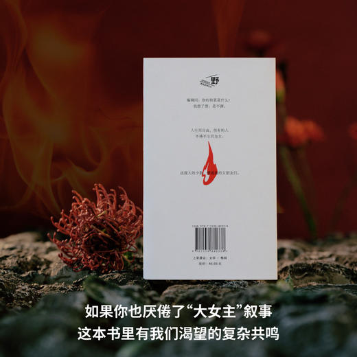 女朋友们（野生作者和她的普通女人故事集：小镇做题家、过气女艺人、北漂女青年……野草一样坚韧，烈火一样灼烧，满怀杀不死的欲望 商品图3