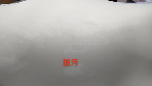 QYS04040 拉芙菲尔 送礼专利设计护颈椎枕A类奶盖多肉记忆棉枕头颈椎支撑枕芯【单个】 商品图6