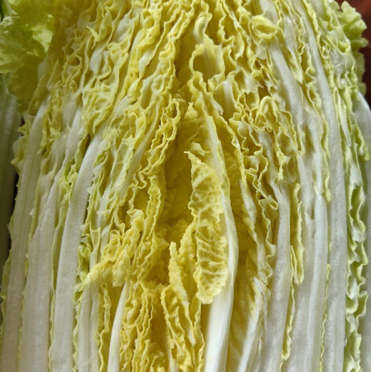 【下单后48小时发货】河北张家口 生态有机蔬菜包5斤装左右/箱，球生菜、绿甘蓝、娃娃菜、莴笋，也可每种单选 商品图11