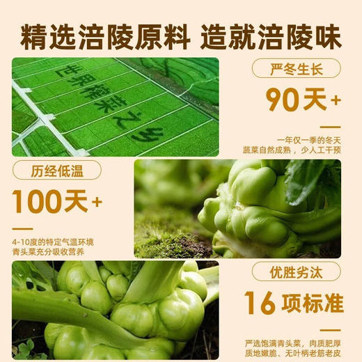 乌江榨菜80克22克70克家用榨菜芯轻盐版正宗微辣涪陵萝卜干小包装 商品图3