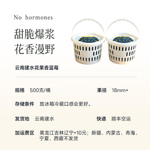 【花果香蓝莓 特别福利】口感酸甜 满满花青素 颗颗饱满新鲜 自带果霜 ~ 商品图5