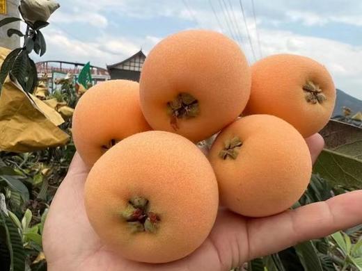 攀枝花米易.冬季早钟枇杷（4盒x400克30克+果型） 商品图5
