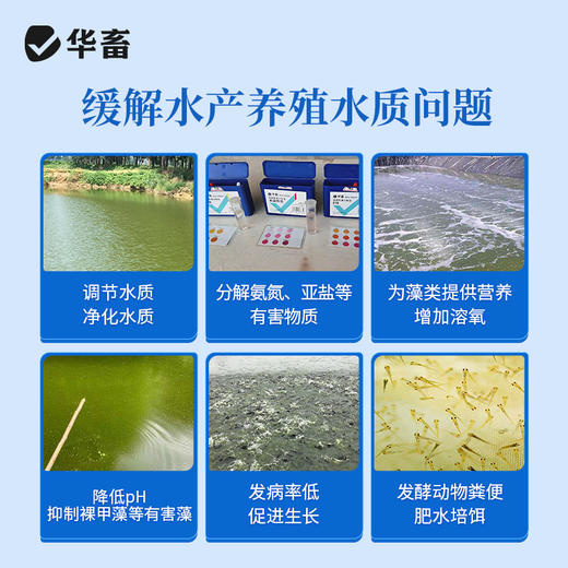华畜EM益生菌浓缩粉500g 调节水质祛除油膜 复合菌种产气更强 商品图2