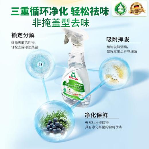 Frosch福纳丝 环保冰箱洁净除味喷剂300ml 商品图3