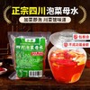 小卓四川泡菜母水家用老母液袋装农家腌制酸辣可口酸甜传统手工 商品缩略图4