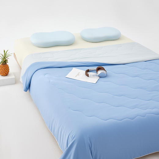 西域楼兰冰皮凉感丝双色蚕丝夏凉被【放心甄选】 商品图6