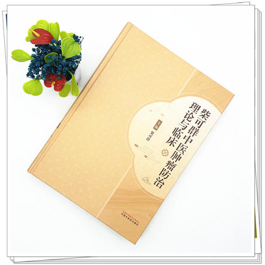 柴可群中医肿瘤防治理论与临床  柴可群 主编 中国中医药出版社 商品图1