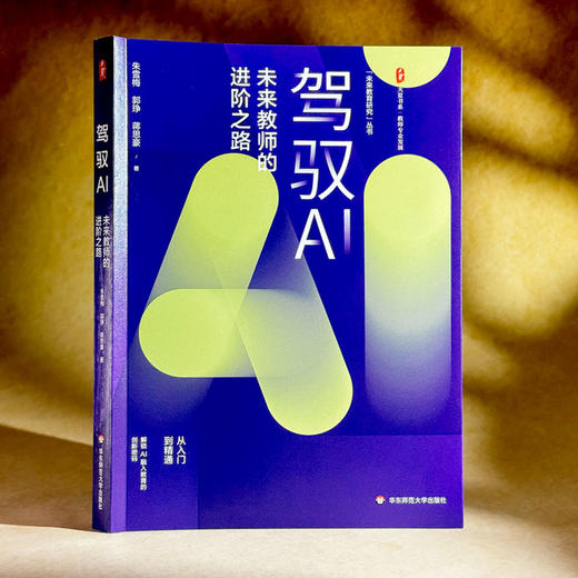 驾驭AI 未来教师的进阶之路 大夏书系 教师专业发展 商品图3