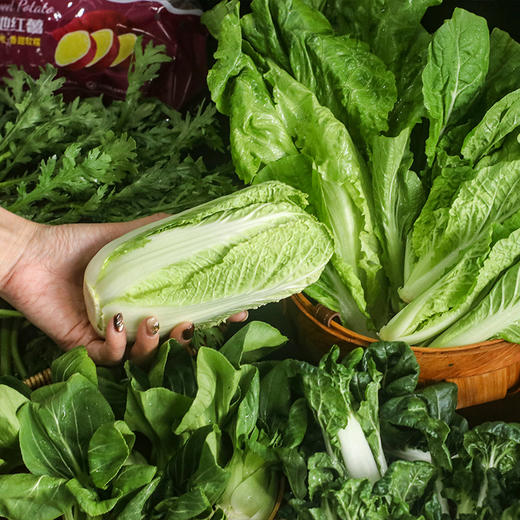 【顺丰包邮】三个零蔬菜包 蔬菜箱 蔬菜组合 应季蔬菜 随机4-10个款 商品图5