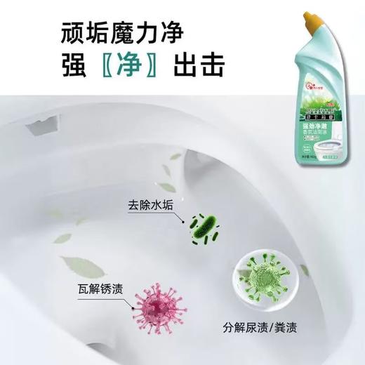 周三取货：【波卡莉香香氛洁厕液】一瓶600克 商品图2