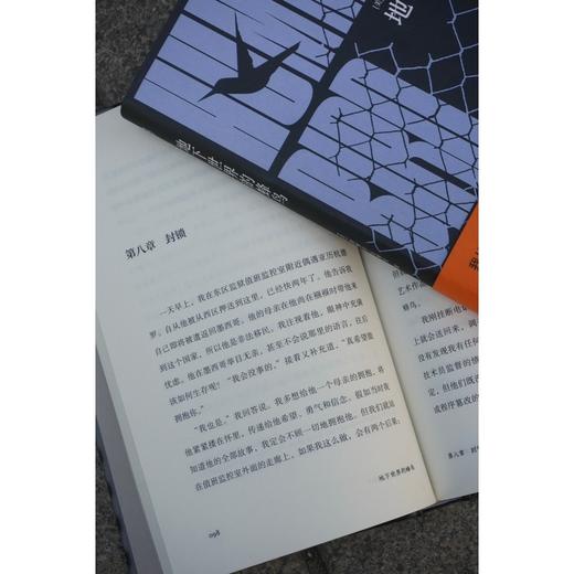 地下世界的蜂鸟（一部奏响私人记忆与囚徒困境交织的生命共鸣，获美国多项图书大奖） 商品图7