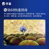 华畜兽药 戊二醛癸甲溴铵溶液 复合型消毒更彻底 协同增效 抗干扰 渗透性强 商品缩略图2